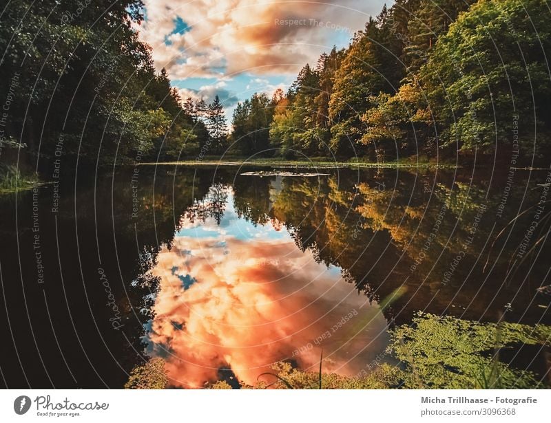 Herbst am See Natur Landschaft Pflanze Wasser Himmel Wolken Sonnenaufgang Sonnenuntergang Sonnenlicht Schönes Wetter Baum Wald leuchten außergewöhnlich