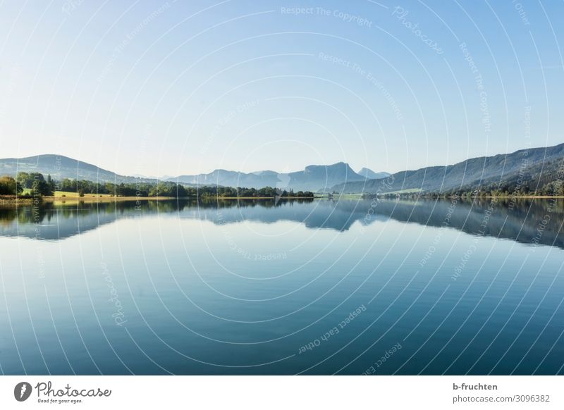 Landschaft im Salzkammergut harmonisch Erholung Ferien & Urlaub & Reisen Berge u. Gebirge Umwelt Natur Wasser Sommer Herbst Schönes Wetter Wald Alpen Seeufer