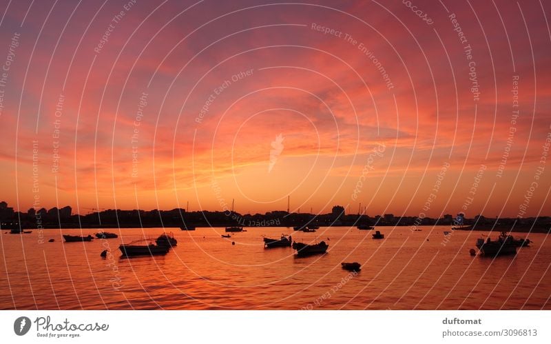 Gemälde Ferien & Urlaub & Reisen Tourismus Ferne Kreuzfahrt Sommer Sonne Meer Natur Landschaft Wasser Sonnenaufgang Sonnenuntergang Wetter Küste Seeufer