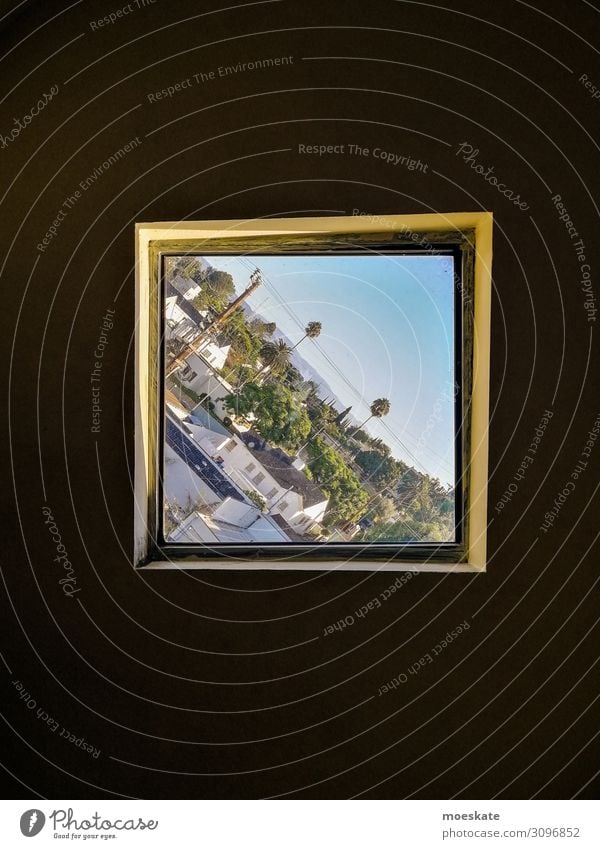 Los Angeles in schief Stadt blau Kalifornien USA Fenster Fensterblick Neigung diagonal Palme Farbfoto Gedeckte Farben Außenaufnahme Innenaufnahme Menschenleer