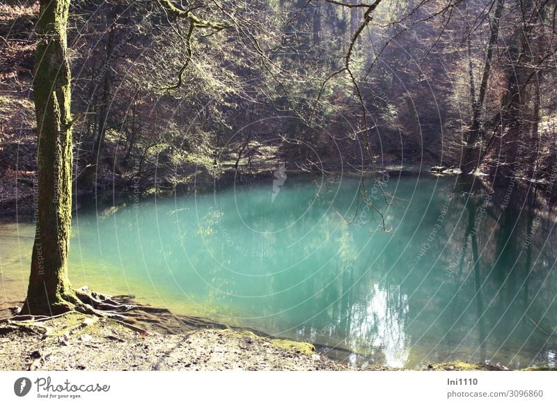 Blauer See (Minisee in Wellingholzhausen/Melle) Natur Wasser Herbst Baum Seeufer blau braun grün schwarz türkis weiß Steinbruch Wasseroberfläche Lichteinfall