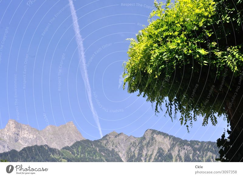 Aussicht Ausflug Ferne Freiheit Sommer Umwelt Natur Landschaft Pflanze Himmel Wolkenloser Himmel Baum Wald Alpen Berge u. Gebirge Gipfel Schweiz Verkehrsmittel