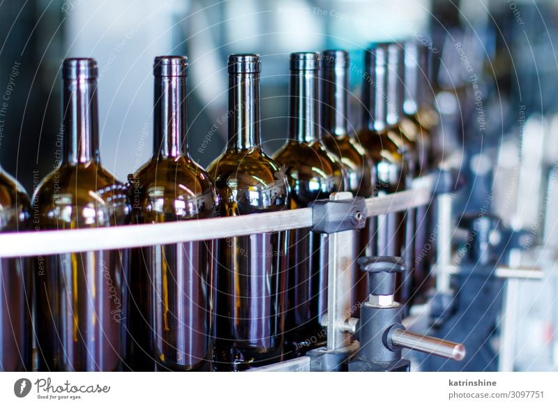 Glasflaschen in der Abfüllmaschine Flasche Industrie Technik & Technologie modern Weinherstellung Weingut Maschine Abfüllanlage automatisiert Förderband trinken