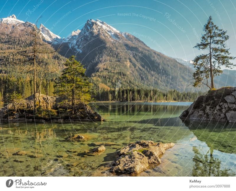 Hintersee Ferien & Urlaub & Reisen Insel Berge u. Gebirge Natur Landschaft Wasser Frühling Baum Wald Alpen Schneebedeckte Gipfel Seeufer Deutschland Bayern