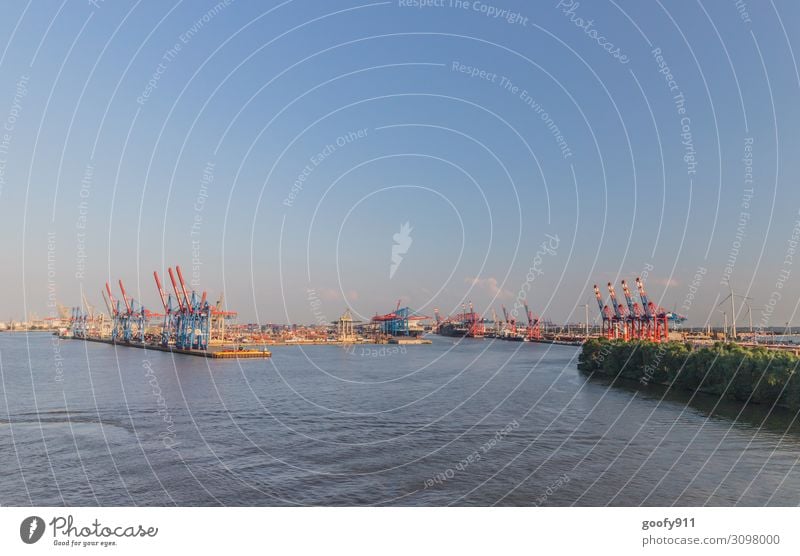 Containerhafen Hamburg Ferien & Urlaub & Reisen Tourismus Ausflug Abenteuer Ferne Sightseeing Städtereise Kreuzfahrt Wasser Himmel Wolken Horizont