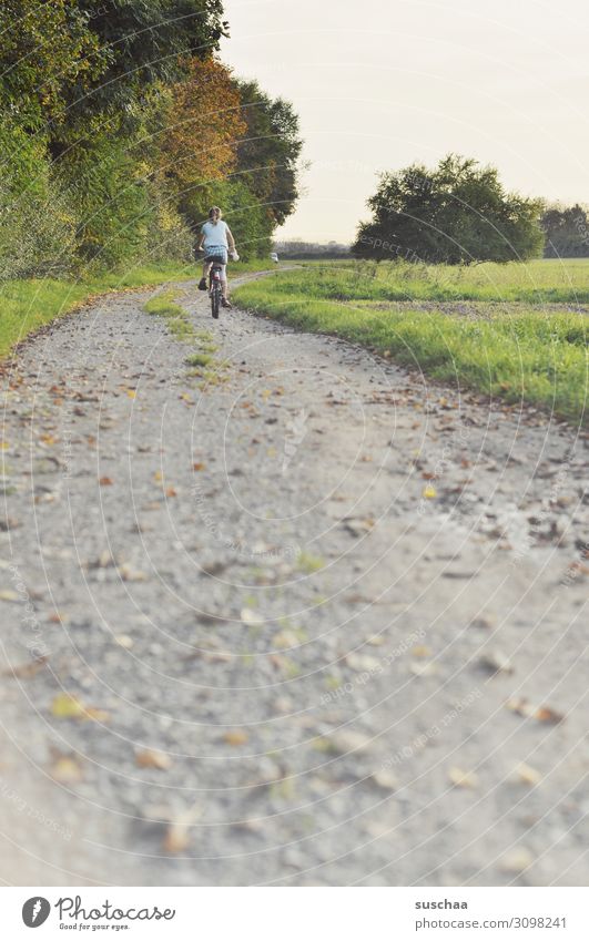 herbstradlerin Kind Fahrrad Fahrradfahren Fahrradtour Herbst Sommer Außenaufnahme Natur Luft Fußweg Blatt Feld Wiese Baum Schotterweg Perspektive