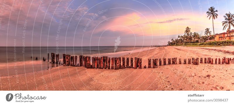 Alter Pier im Meer am Port Royal Beach bei Sonnenaufgang Erholung Ferien & Urlaub & Reisen Strand Natur Landschaft Küste blau rosa Port Royal Strand Neapel