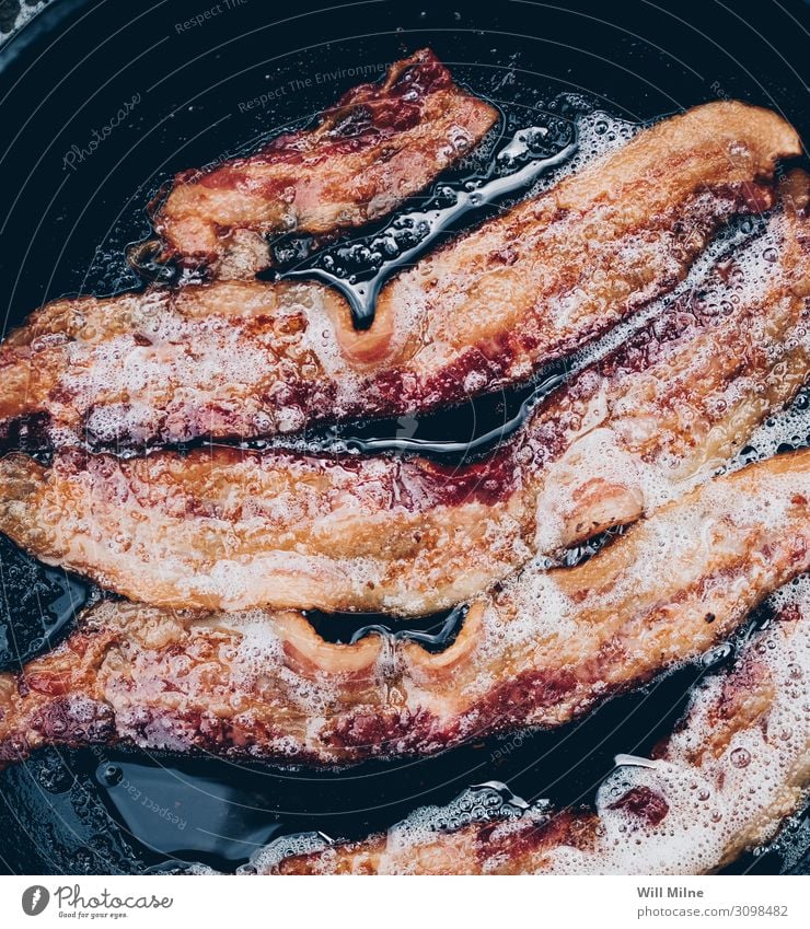 Kochen von Speck in einer Gusseisenpfanne Frühstück Fleisch Schweinefleisch Essen zubereiten kochen & garen Lebensmittel Speise Foodfotografie Morgen