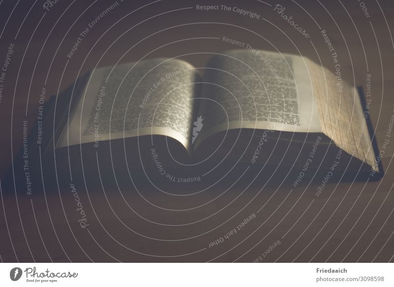 Bibel Bildung Studium Buch festhalten lesen Kraft Vertrauen Geborgenheit friedlich Güte Menschlichkeit trösten dankbar Hoffnung Glaube schuldig Ewigkeit Frieden