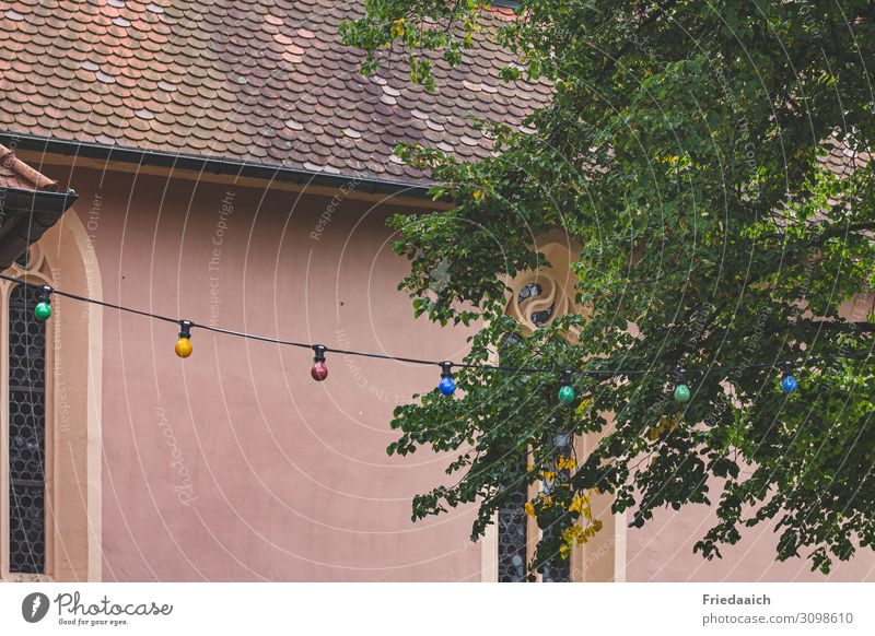 Draußen mit bunten Lichtern Party Natur Baum Garten Erholung Feste & Feiern genießen leuchten Glück Fröhlichkeit Freizeit & Hobby Frieden Stimmung Farbfoto