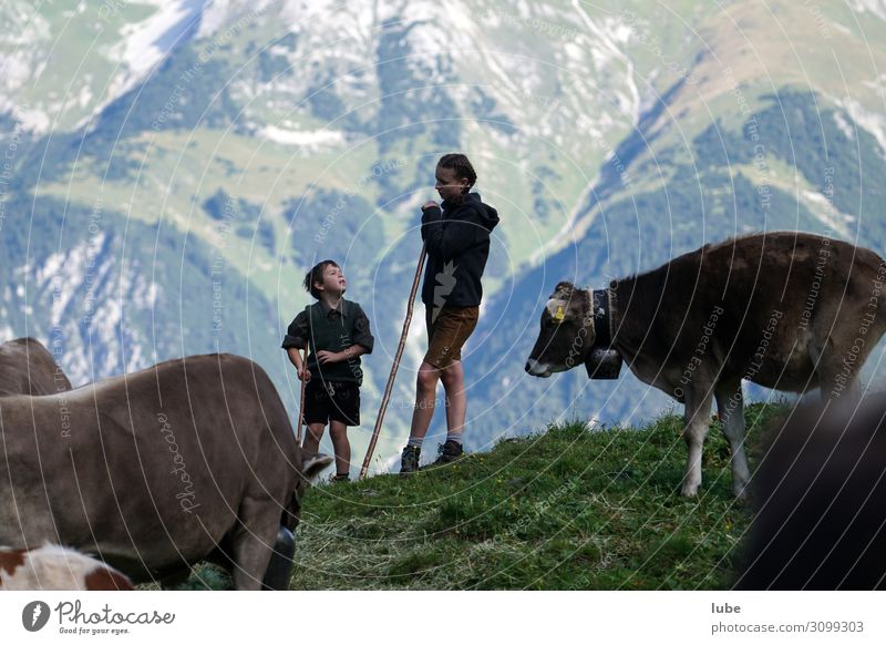 Hirtengespräche Landwirtschaft Forstwirtschaft Mädchen Junge 2 Mensch Umwelt Natur Landschaft Berge u. Gebirge Tier Nutztier Kuh Kommunizieren Fröhlichkeit