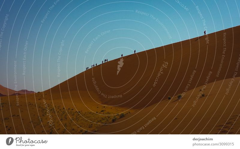 Sanddüne - links. Hier beginnt die Wanderung der Gruppe auf die Große Sanddüne. Im Hintergrund Blauer Himmel. Freude sportlich harmonisch