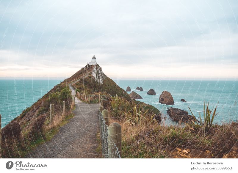 Dem Licht folgen Ferien & Urlaub & Reisen Tourismus Ausflug Abenteuer Ferne Freiheit Sightseeing Meer Nugget Point Neuseeland Leuchtturm Wahrzeichen blau Straße