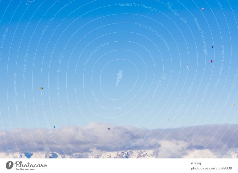 Über den Wolken Freizeit & Hobby Ballone Ballonfahrt Himmel Winter Schönes Wetter fahren fliegen außergewöhnlich Zusammensein Unendlichkeit blau Freiheit