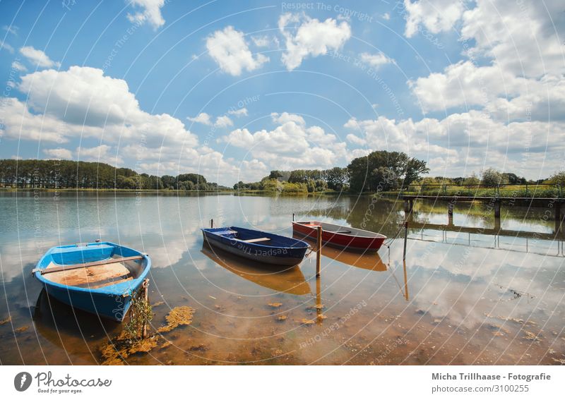 Boote und Steg am See Ferien & Urlaub & Reisen Tourismus Natur Landschaft Wasser Himmel Wolken Sonne Sonnenlicht Schönes Wetter Baum Seeufer Bootsfahrt