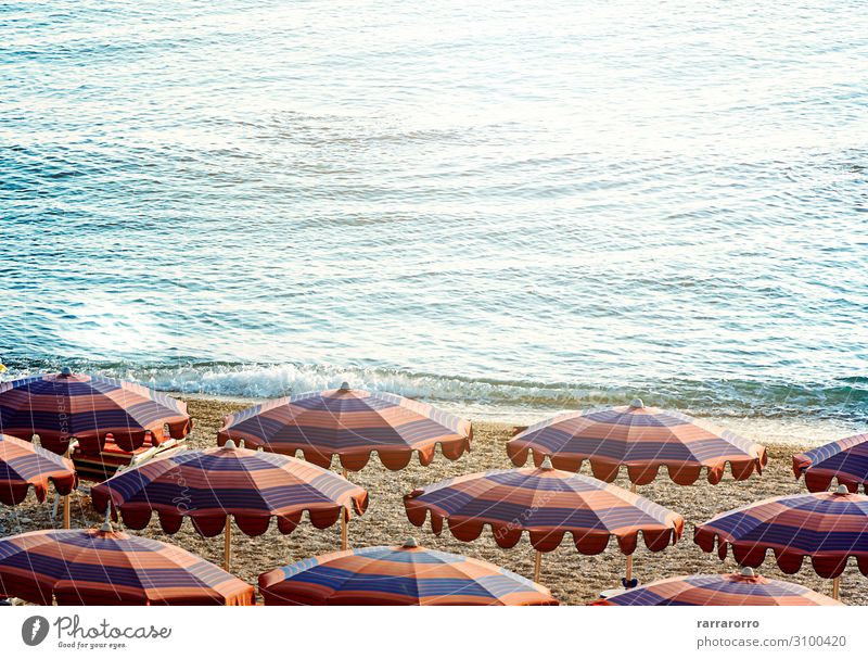 Sonnenschirme öffnen früh am Morgen an einem Strand am Meer. Reichtum schön Erholung Freizeit & Hobby Ferien & Urlaub & Reisen Tourismus Sommer Sonnenbad Insel