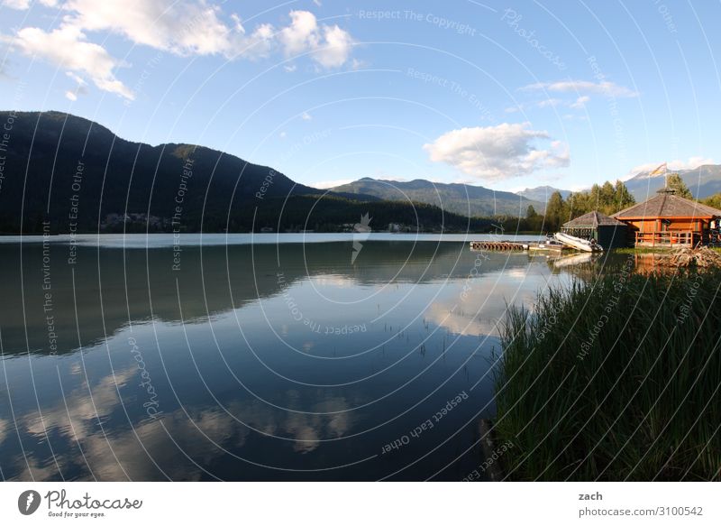 Still ruht der See Umwelt Landschaft Wasser Himmel Wolken Schönes Wetter Pflanze Baum Sträucher Wald Hügel Berge u. Gebirge Küste Seeufer Kanada