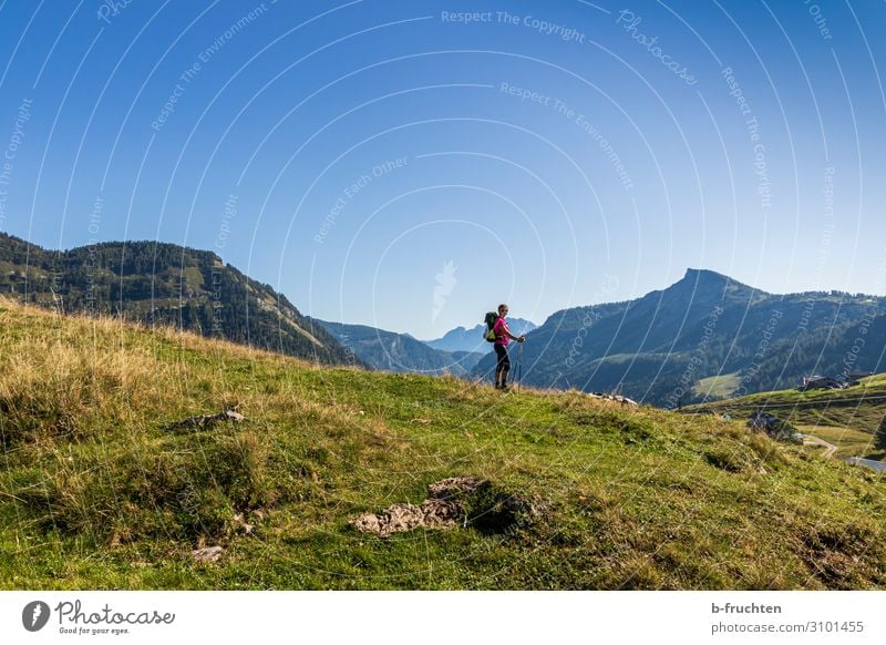 Mal nach draussen gehen. sportlich Fitness Wohlgefühl Erholung ruhig Tourismus Abenteuer Freiheit Sommer Berge u. Gebirge wandern Frau Erwachsene 1 Mensch