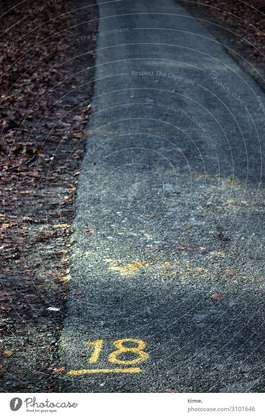 baselines (10) grundlinie linien Straße Asphalt grau gelb Vogelperspektive weiss streifen abgenutzt teer mathematik design zahl 18 laub wegrand