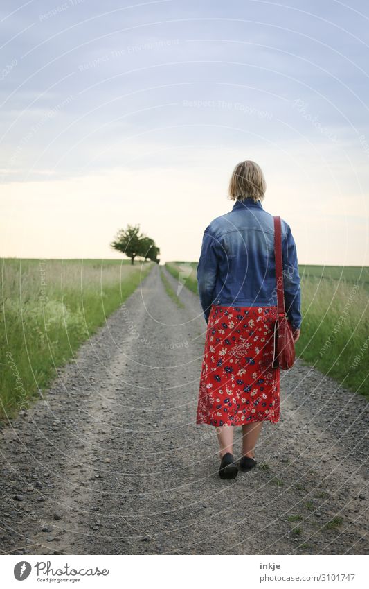 Rückansicht Frau auf Feldweg Spaziergang Junge Frau Jugendliche Erwachsene Leben 1 Mensch 18-30 Jahre 30-45 Jahre Umwelt Natur Landschaft Horizont Frühling