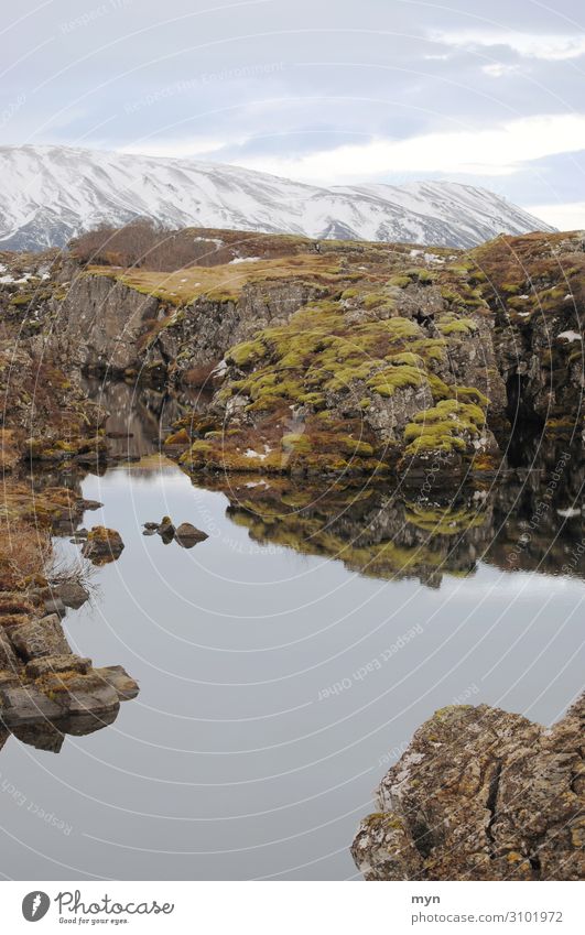 Landschaft in Island / Thingvellir-Nationalpark See Fluss Winter Gletscher Wasser Himmel Wolken Umwelt dramatisch Kontinente Bach Europa Menschenleer Moos