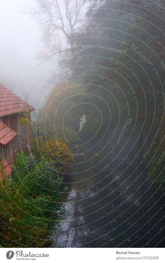 Mühlenmorgen Umwelt Natur Wasser Himmel Herbst Klima Nebel Pflanze Baum Sträucher grau grün rot Dach Bach ruhig Idylle Spiegelbild Haus ländlich ursprünglich