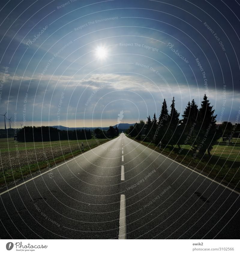 B6 Umwelt Natur Landschaft Himmel Wolken Horizont Sonne Sommer Schönes Wetter Baum Wiese Verkehrswege Straße Mittelstreifen Asphalt leuchten Fernweh Freiheit