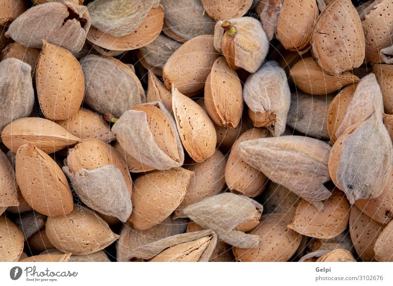 Viele frisch gepflückte Mandeln Frucht Ernährung Essen Vegetarische Ernährung Diät Tisch Menschengruppe Herbst Holz natürlich braun Lebensmittel Panzer Zutaten