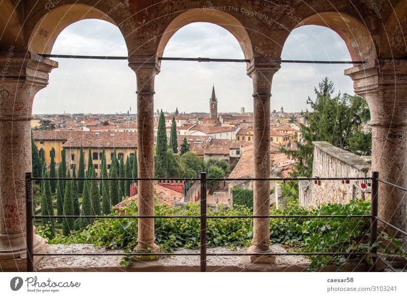 View over Verona, Italy Ferien & Urlaub & Reisen Tourismus Ausflug Ferne Städtereise Italien Europa Haus Palast Architektur Sehenswürdigkeit Erholung alt braun