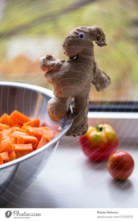 Ingwer belebt Lebensmittel Gemüse Möhre Tomate Ernährung Bioprodukte Vegetarische Ernährung Schalen & Schüsseln Lifestyle Gesunde Ernährung kaufen Essen