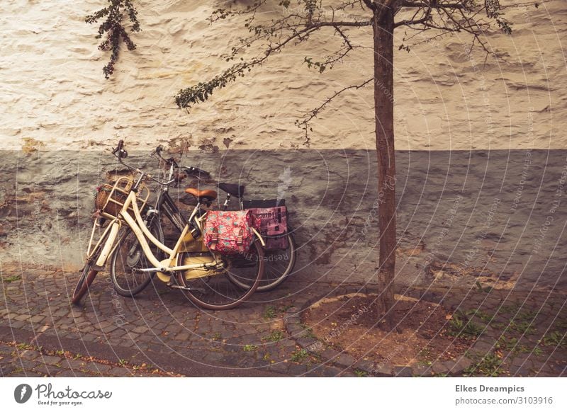 Zwei alte Fahrräder mit bunten Taschen an einer alten Mauer Freizeit & Hobby Radeln Ausflug Fahrradtour Sommer Sommerurlaub Fahrradfahren Erholung genießen