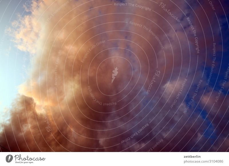 Wolken Himmel Himmel (Jenseits) Wetter Meteorologie Wolkenfeld Gewitter drohend dunkel Sommer Klima Klimawandel Kumulus Altokumulus Abend Dämmerung