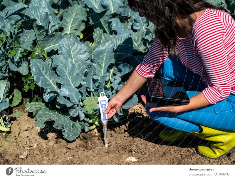 Agronom messen den Boden in der Brokkoliplantage. Garten Labor Prüfung & Examen Technik & Technologie Umwelt Pflanze Erde Schutz Kontrolle ph metrisch