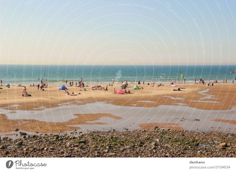 Menschen bei Ebbe am Strand Menschenmenge Wolkenloser Himmel Sonnenlicht Sommer Schönes Wetter Küste Nordsee Meer Schwimmen & Baden Erholung heiß blau braun