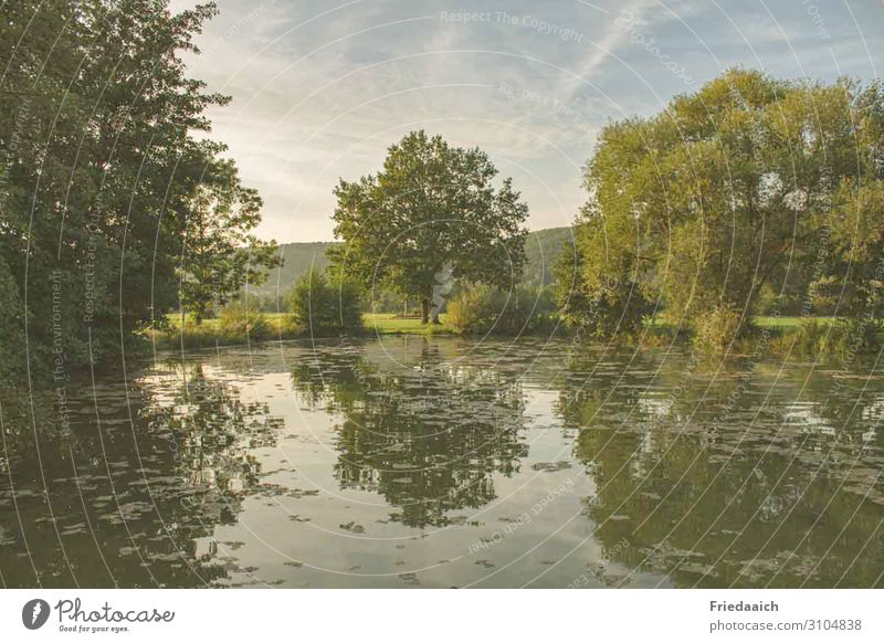 Spiegelung am See Ausflug Fahrradfahren Joggen Natur Landschaft Wasser Himmel Sommer Baum Teich entdecken Erholung gehen genießen laufen Blick träumen natürlich