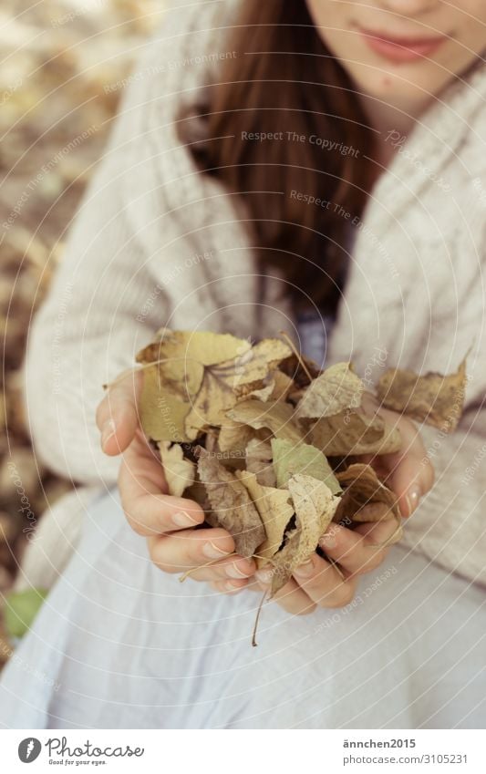 Herbstliebe sammeln Natur Frau Hand Blatt Außenaufnahme Wald weiß braun grün festhalten langhaarig brünett Strickjacke gemütlich