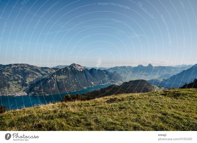 Aussicht vom Niederbauen Richtung Mythen Umwelt Natur Landschaft Himmel Wolkenloser Himmel Sommer Schönes Wetter See blau Tourismus Vierwaldstätter See