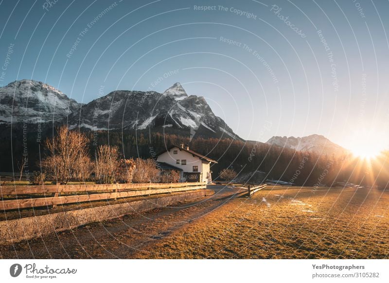 Winteralpine Landschaft im österreichischen Alpendorf Ferien & Urlaub & Reisen Berge u. Gebirge Haus Natur Wald Dorf blau gelb Ehrwald Nachmittag Österreich