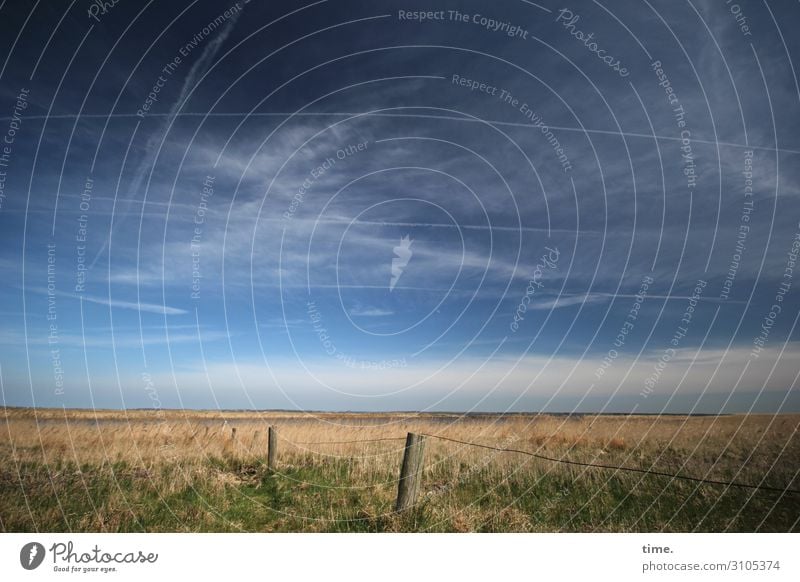 so weit das Auge reicht Umwelt Natur Landschaft Himmel Wolken Horizont Wiese Zaun Luftverkehr Kondensstreifen selbstbewußt Kraft Romantik Gelassenheit ruhig