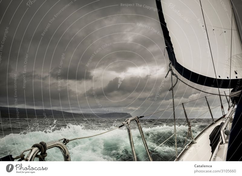 Stürmisch Freizeit & Hobby Ausflug Freiheit Meer Wellen Wassersport Segeln Umwelt Natur Urelemente Wassertropfen Himmel Gewitterwolken schlechtes Wetter Regen