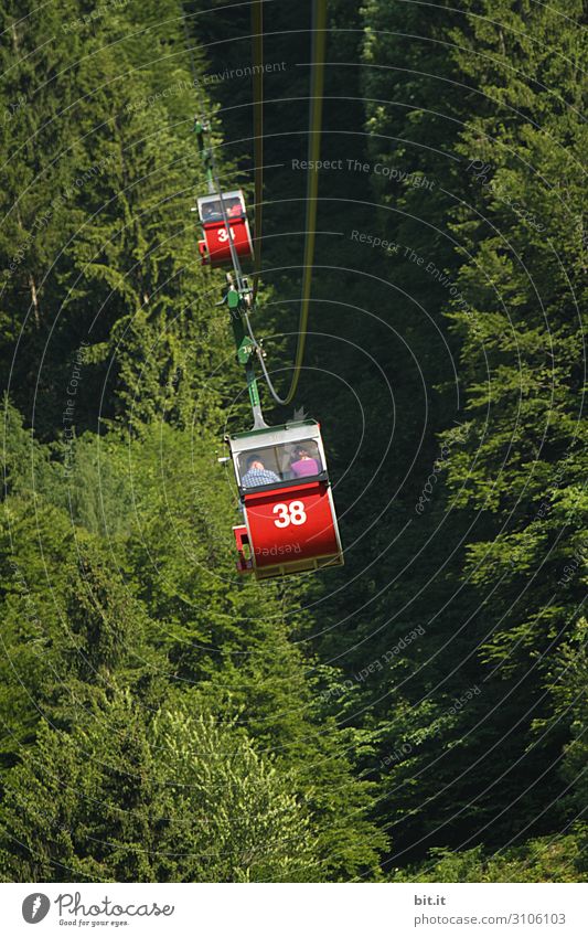 Seilbahn im Wald Ferien & Urlaub & Reisen Tourismus Ausflug Abenteuer Freiheit wandern Umwelt Natur Berge u. Gebirge hoch Gondellift fahren Farbfoto