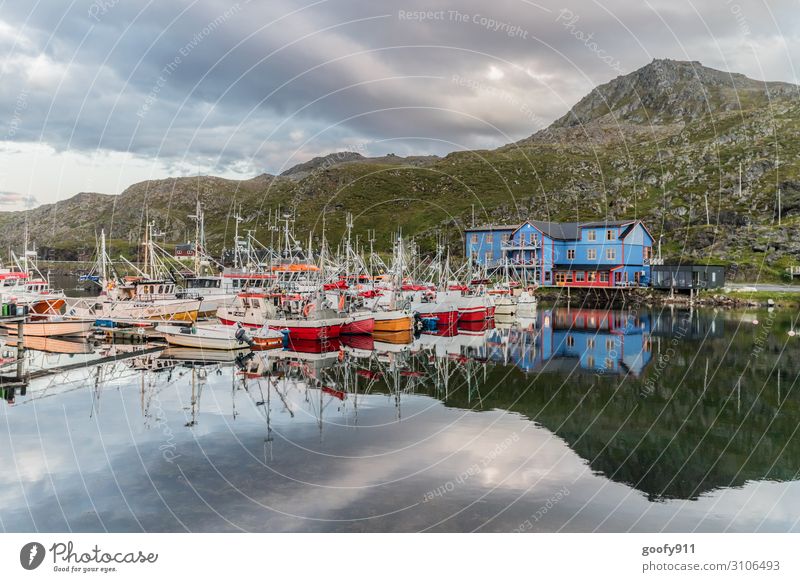 Fischerboote Ferien & Urlaub & Reisen Tourismus Ausflug Abenteuer Ferne Freiheit Expedition Natur Landschaft Wasser Himmel Wolken Hügel Fjord Norwegen