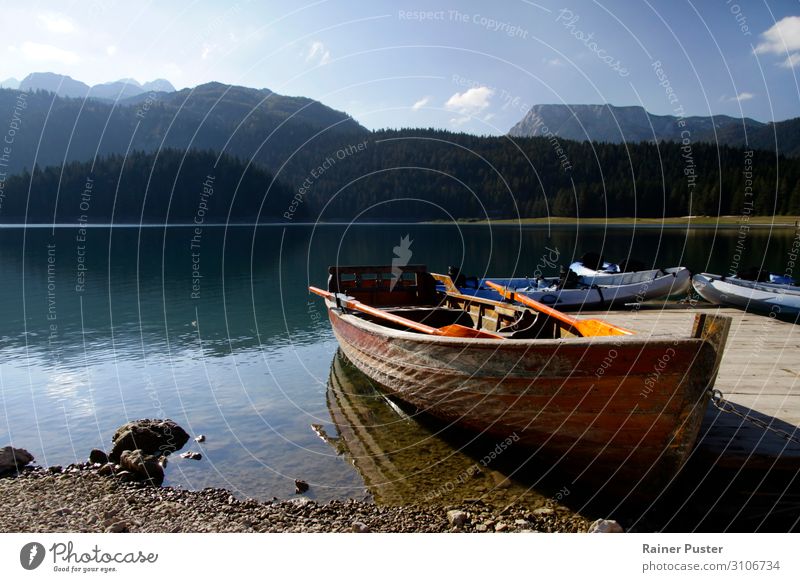 Ruderboot am Black Lake, Montenegro Rudern Abenteuer Freiheit Berge u. Gebirge Landschaft Schönes Wetter Wald Seeufer montenegro Balkan blau ruhig durmitor