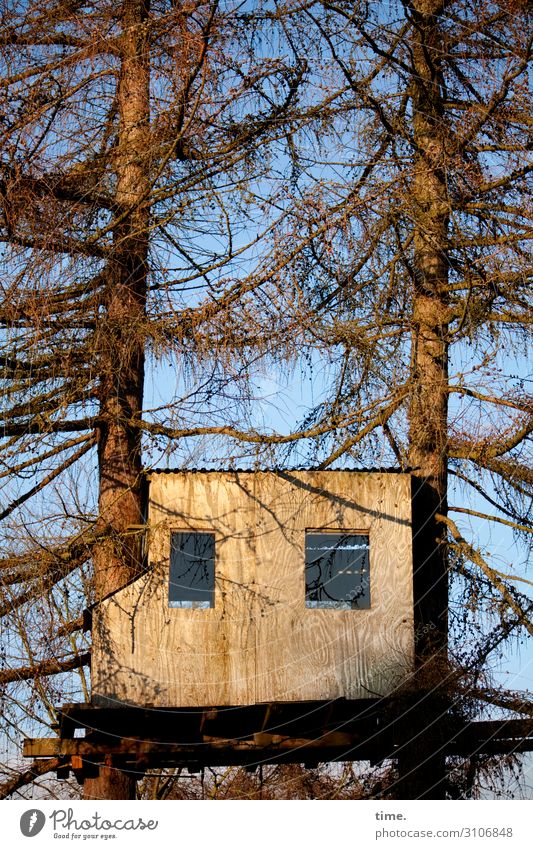 Kinderparadies | wertvoll Umwelt Natur Himmel Schönes Wetter Baum Baumstamm Ast Zweige u. Äste Haus Traumhaus Hütte Bauwerk Baumhaus Mauer Wand Fenster hoch