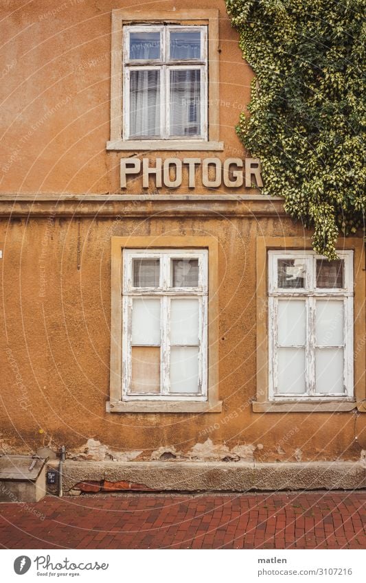 photogr Künstler Stadt Altstadt Menschenleer Haus Mauer Wand Fenster alt authentisch braun grün rot weiß Efeu Fotograf Schriftzeichen Buchstaben Farbfoto