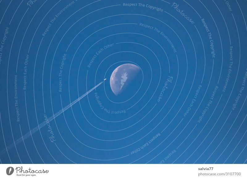 Halbmond Umwelt Luft Himmel nur Himmel Wolkenloser Himmel Mond Klima Klimawandel Wetter Schönes Wetter Diät blau Flugzeug Kondensstreifen