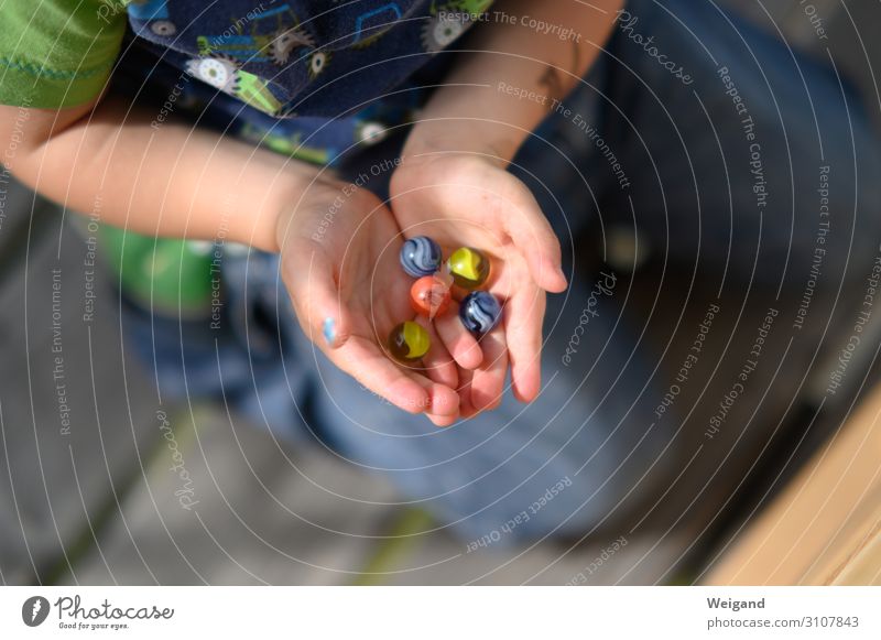 Murmelglück Freude Freizeit & Hobby Sommer Kindererziehung Bildung Kindergarten Klassenraum Mensch Kleinkind 1 1-3 Jahre 3-8 Jahre Kindheit beobachten genießen