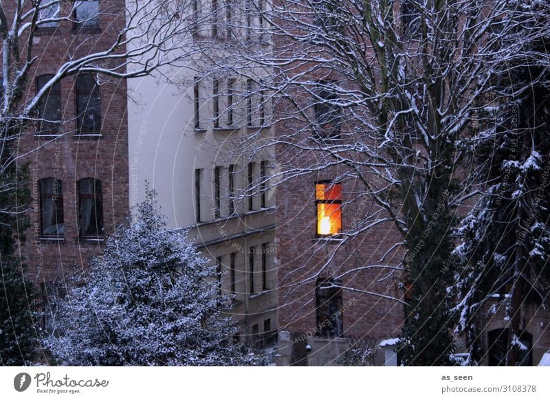 Cocooning Wohnung Haus Lampe Weihnachten & Advent Silvester u. Neujahr Umwelt Landschaft Herbst Winter Wetter Schnee Baum Stadt Gebäude Fassade Fenster leuchten