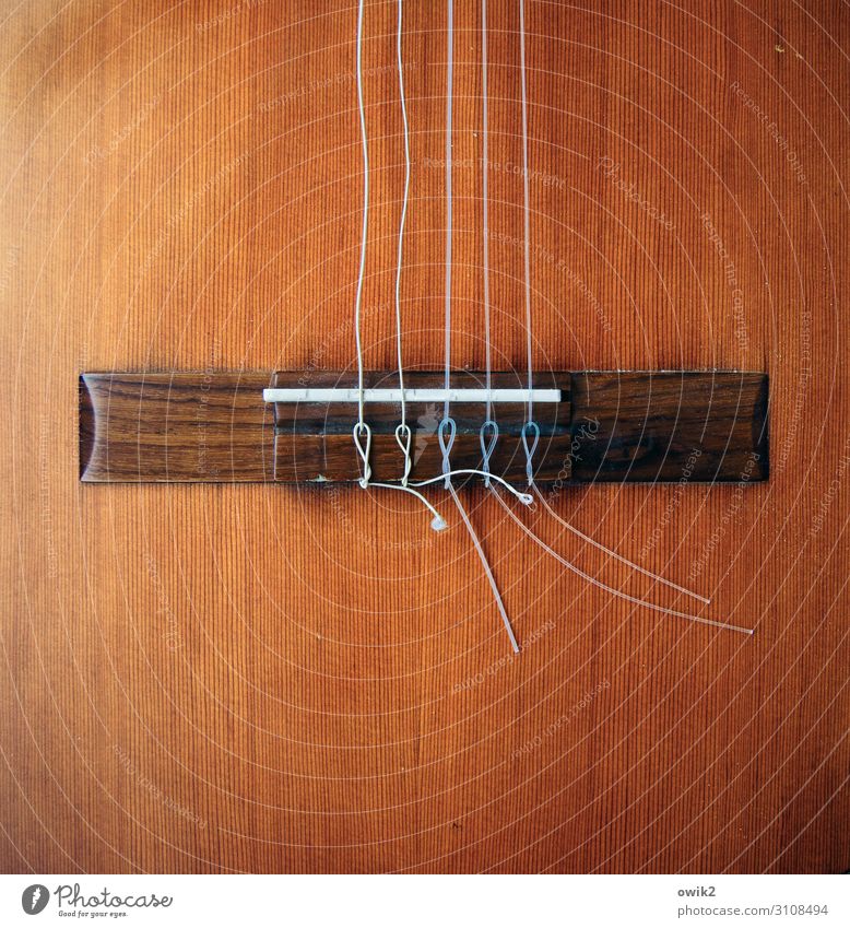 Nach dem Konzert Musik Gitarre Saiteninstrumente Steg Holzmaserung Kunststoff fest beweglich Schlaufe Konzertgitarre akustisch Farbfoto Innenaufnahme