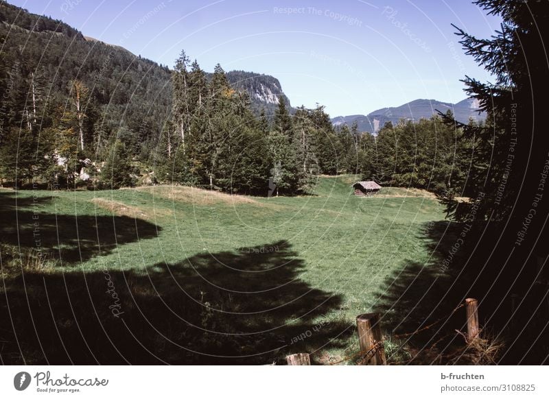 kleine Hütte, Almgebiet Berge u. Gebirge wandern Natur Landschaft Himmel Sommer Herbst Baum Gras Wald Hügel Alpen gehen Ferien & Urlaub & Reisen Österreich